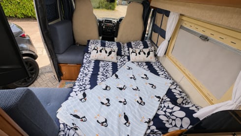 Puffin – Lernen Sie Atlas Cosy Campervan Adventures für zwei Personen kennen