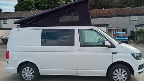 Wee Mags – Immaculate 4 berth 2017 VWT5 Camper