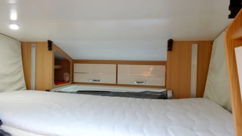 Willie – The Normal One