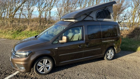 2 berth Volkswagen toffee brown camper
