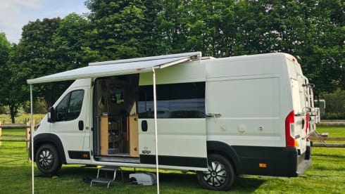 Herdy 🐑 – ✨ Camper di lusso per soli adulti | Pronto per vivere fuori dalla rete elettrica | Ammessi cani ✨