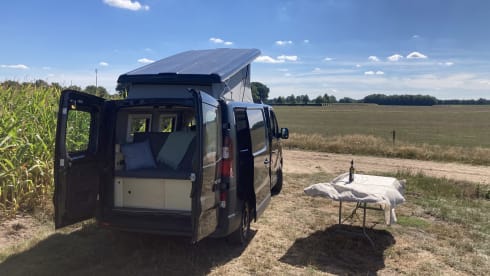 Matty – Matty camper super bus to go on an adventure!