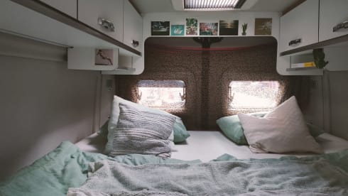 Candy – Candy baby - Luxury Fiat bus from 2021