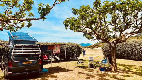Boelie – 4p Volkswagen bus from 2018