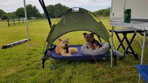 Duke – Meet Duke, our 3 Berth Handsome Motorhome.