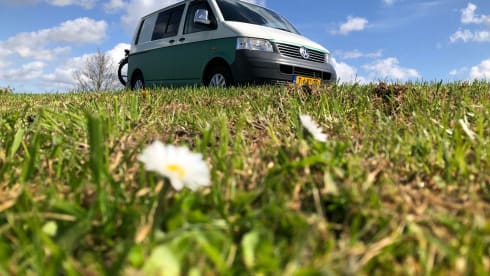 Experience adventures with Jip! 2p VW camper bus