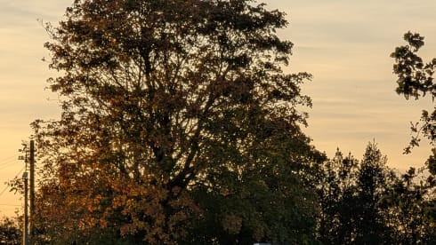 Big Bertha – Chausson-Nische mit 6 Schlafplätzen aus dem Jahr 2010