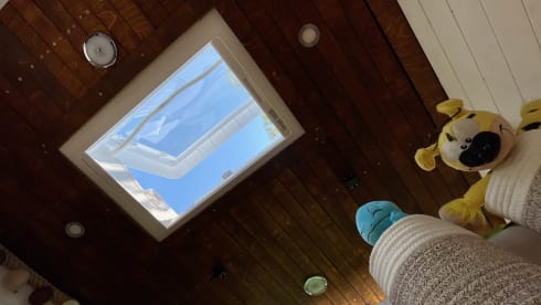 Paule – Get into your VanLife experience with our Paule!