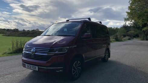 Strawberry – New VW California Ocean T6.1 DSG 2.0 TDI Automatic with drive assist