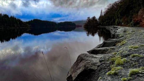 Bamboo Buck – Hashtagcampeurs 