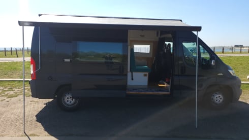 Camper Fiat a 5 posti del 2015