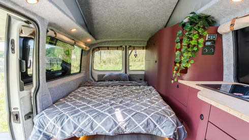 Benny – Campervan Volkswagen T6.1 a 4 posti del 2021