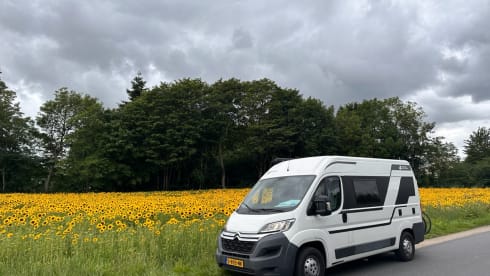Citroën Jumper Camper