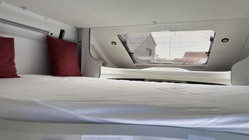 Cocoon  – 5p Benimar semi-integrated uit 2026