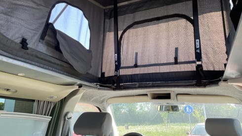 California  – 4 pers. Volkswagen bus camper