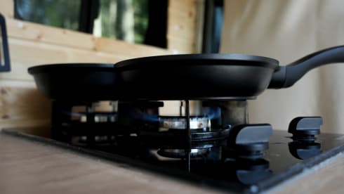 Donna Lina 2.0 – 2p Renault campervan from 2012