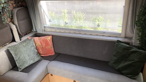🌿 Spacious and atmospheric 4 p family camper