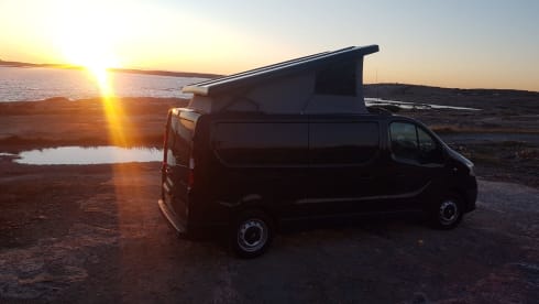 Matty – Matty camper super bus to go on an adventure!