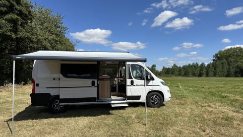 Campie – 3p Fiat bus from 2024