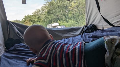 Cara – Van (6 m) from Weinberg with pop-up roof for rent