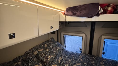 Buster – 4 Berth Bürstner Eliseo from 2023