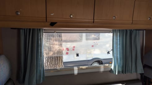 Pareltje – Freedom at its best!