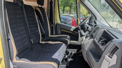 Kirin-Chan – 🦒 Nice unique giraffe camper 🦒