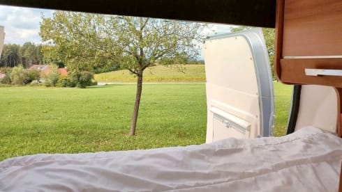 Dreamer – Dreamer Rapido Family Van Select 250