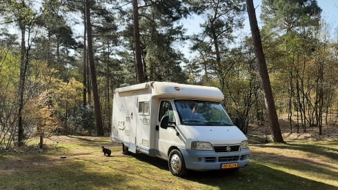 Mr. Blue  – Bürstner Merano with air conditioning and fixed bed 2005