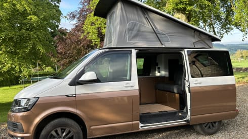 Goldie – Explore with Goldie - Up to 6 Berth VW T6 Campervan