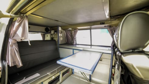 Rino il campeRino – Volkswagen T4 westfalia california