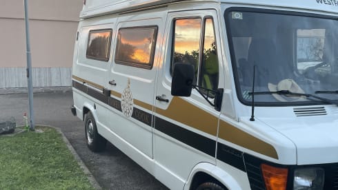 La Boheme – Explore the City with Our Classic T1 James Cook Van