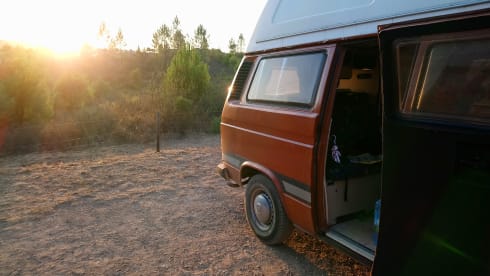 Sol – Your dream holiday with our Volkswagen camper!