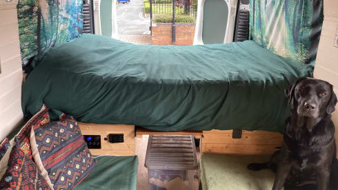 Jerboa – 2 berth Citroën campervan from 2016