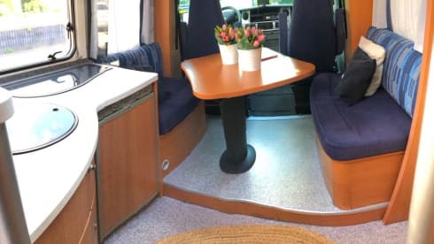 " The Surfer"  – 2p Renault semi-integrated uit 2005