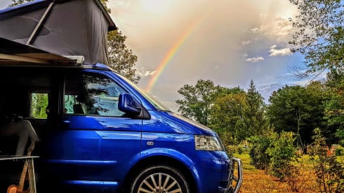 4p Volkswagen California from 2005