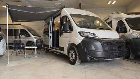 The Fox new overlander  – 2p Sunlight bus from 2025