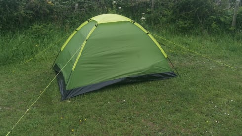 BiBi – Festival Friendly - 4 berth Dethleffs Globevan 2008 Reduced Price