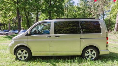 Alice The Van – Künstlerischer Dschungelcamper