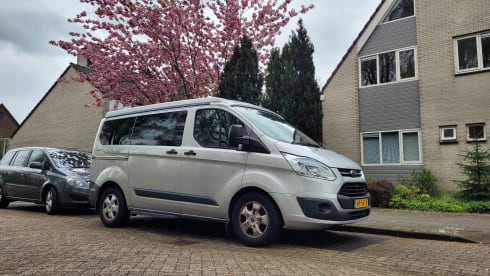 Modern compact Westfalia Ford Nugget