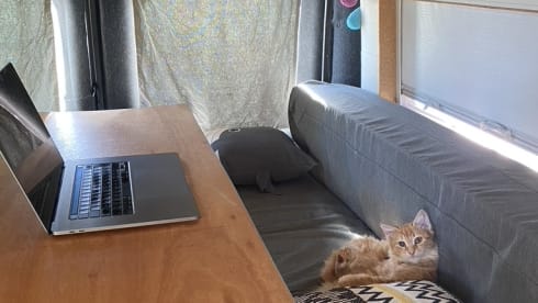 2p self-build Fiat Ducato camper van