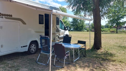 4p Benimar Cocoon uit 2017