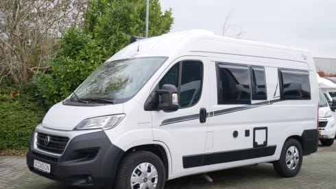 2p Carado bus from 2020