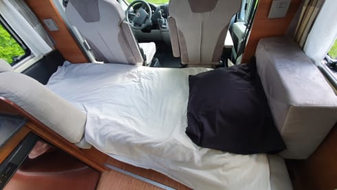 Your ideal travel companion!
