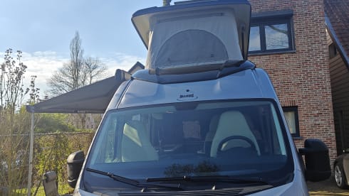 Vinny – 4-sitziger Fiat-Bus ab 2025