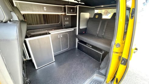 Bee – Meet Bee - VW CamperVan T6