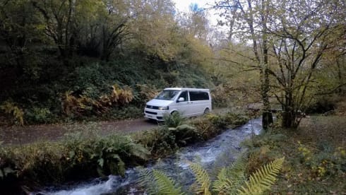 Bailey  – Luxury VW Campervan Hire
