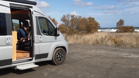 2 + 1 Pössl bus camper from 2018