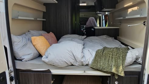 Den Beni  – 4p Benimar campervan uit 2023