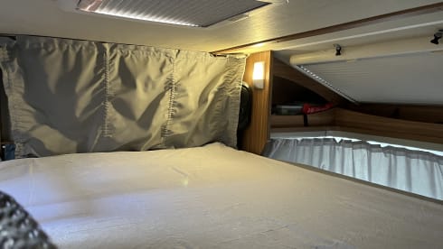 Carado  – Carado T448 5p semi-integrated from 2014